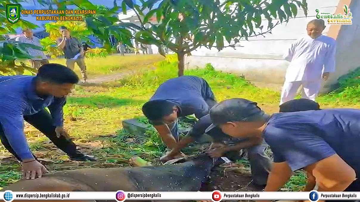 Pelaksanaan Pemotongan Hewan Qurban Tahun 2024 Dispersip Kabupaten Bengkalis