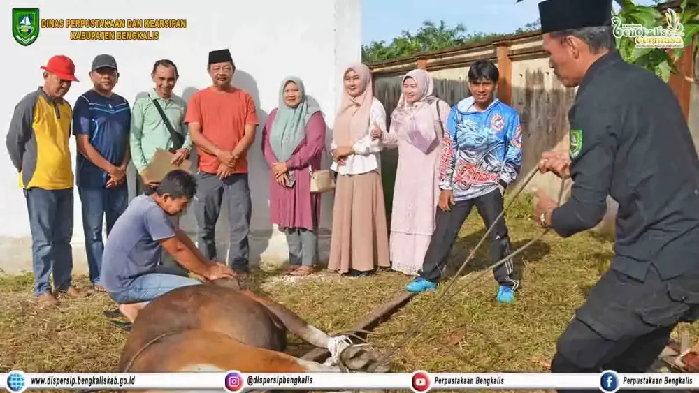 Pelaksanaan Pemotongan Hewan Qurban 1446 H/2025 M Dispersip Kabupaten Bengkalis
